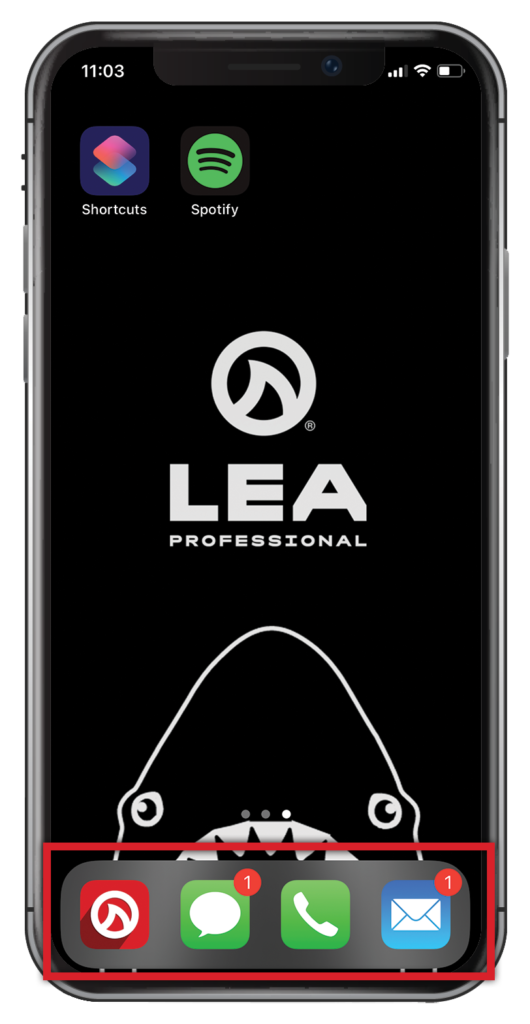 LEA App Icons LEA Professional Walkthrough 14
