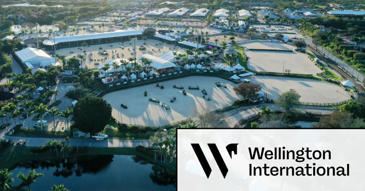 Wellington International